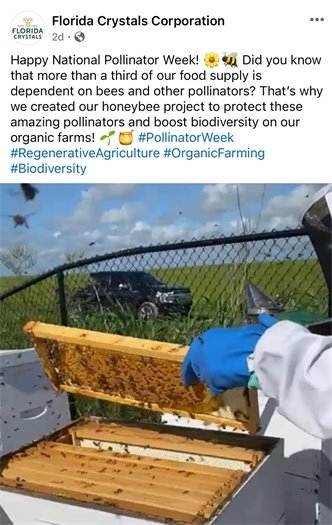 Florida Crystals social 