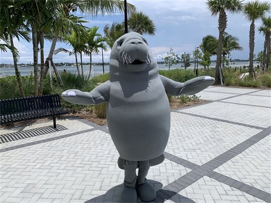 Manatee Lagoon's Mia the Manatee