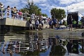 Manatee release event