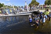 Manatee being released