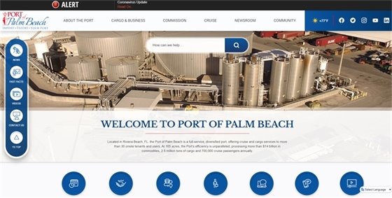 photo of new website