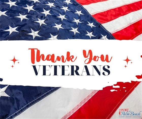 Thank You Veterans Graphic 
