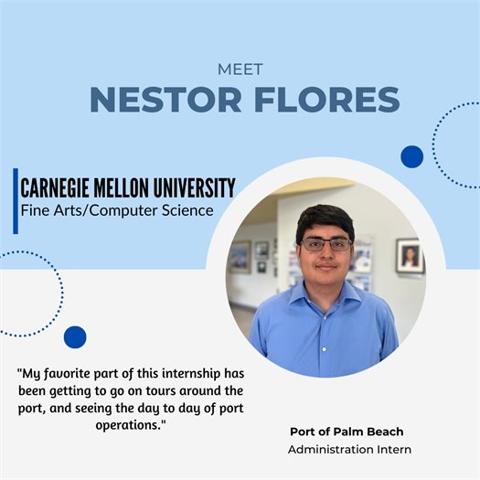Nestor Flores Intern