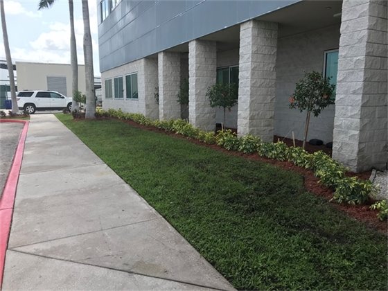landscaping outside office building 