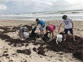 Volunteers picking up trash on the beach
