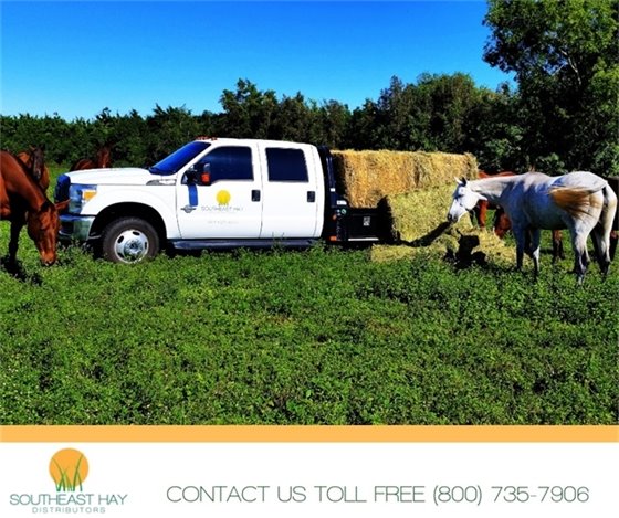 Southeast Hay toll free number 1-800-735-7906