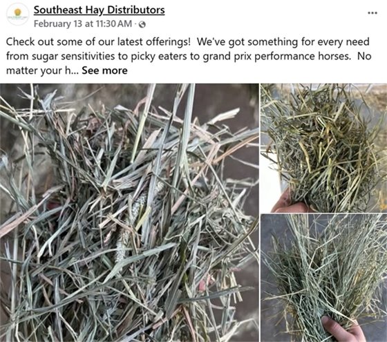 Southeast Hay Social