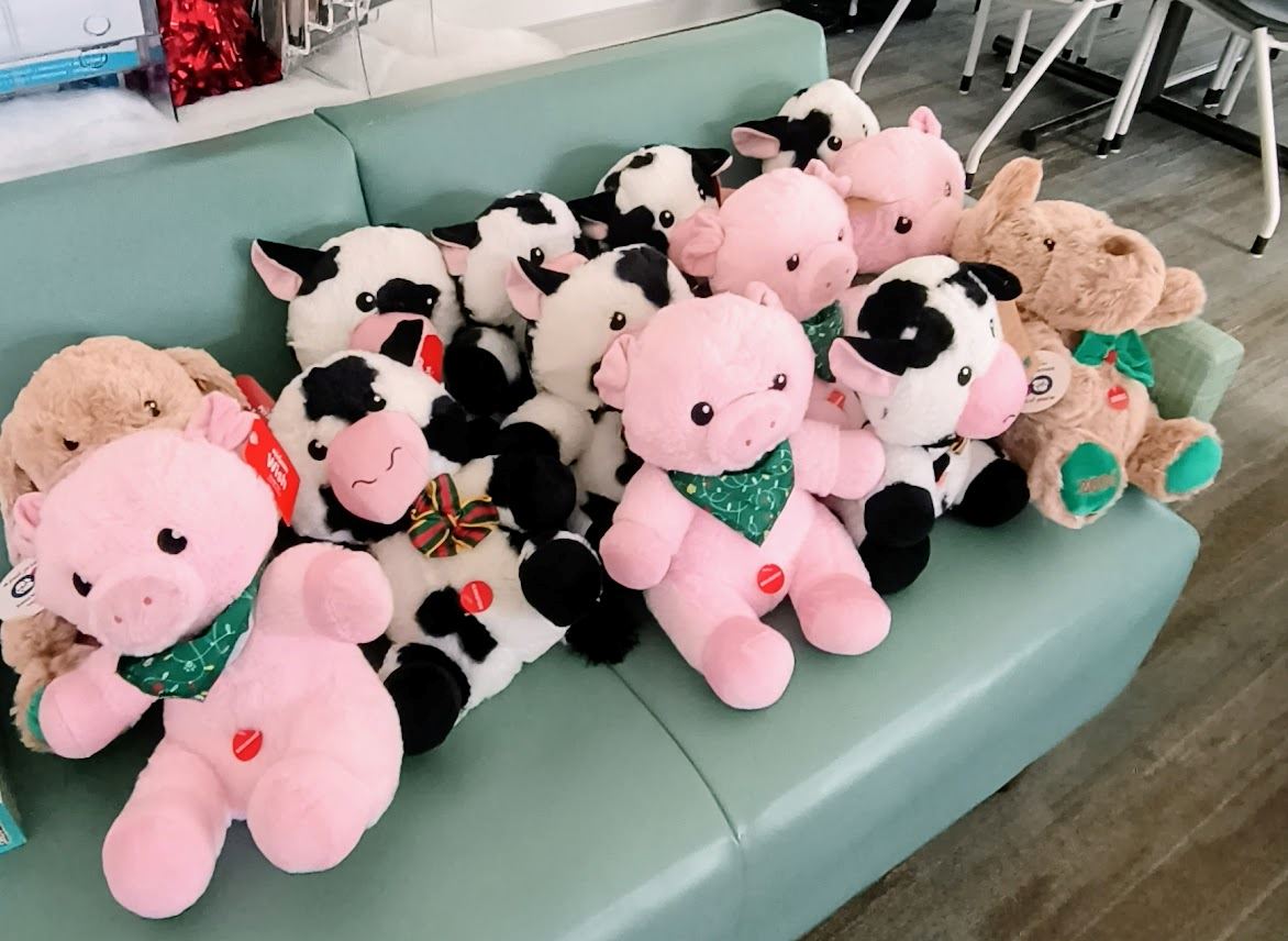 CEMEX and Oasis Project Gifts 